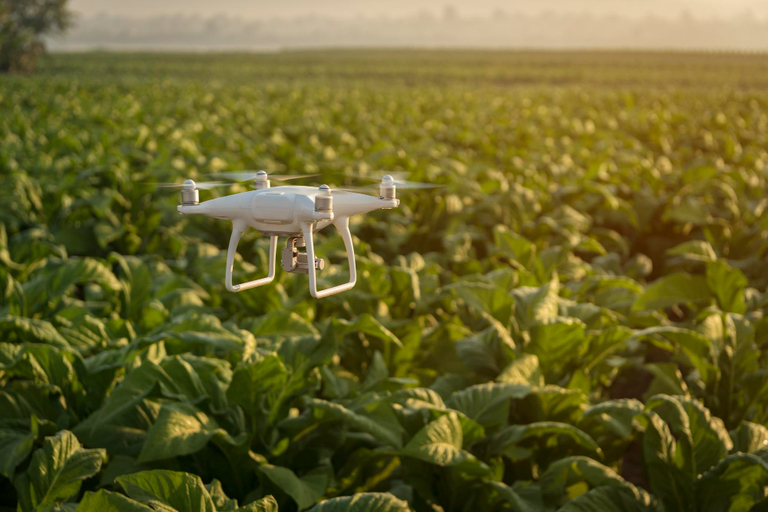 Agricultura de precisão estimulada pela inteligência de dados