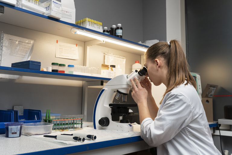 Nova tecnologia eleva produção de RNA de fita dupla e amplia potencial do controle molecular de pragas agrícolas