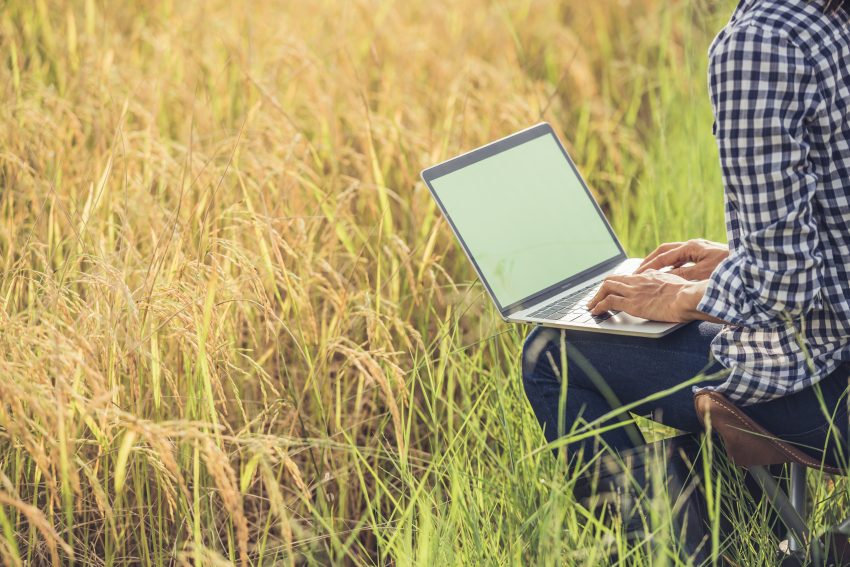 Yara e IBM desenvolverão agricultura digital