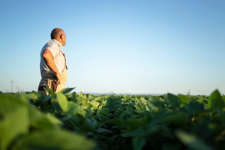 O papel decisivo das cultivares no controle de doenças da soja