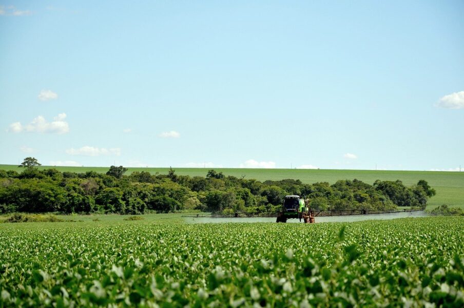 Syngenta lança dois novos fungicidas para soja