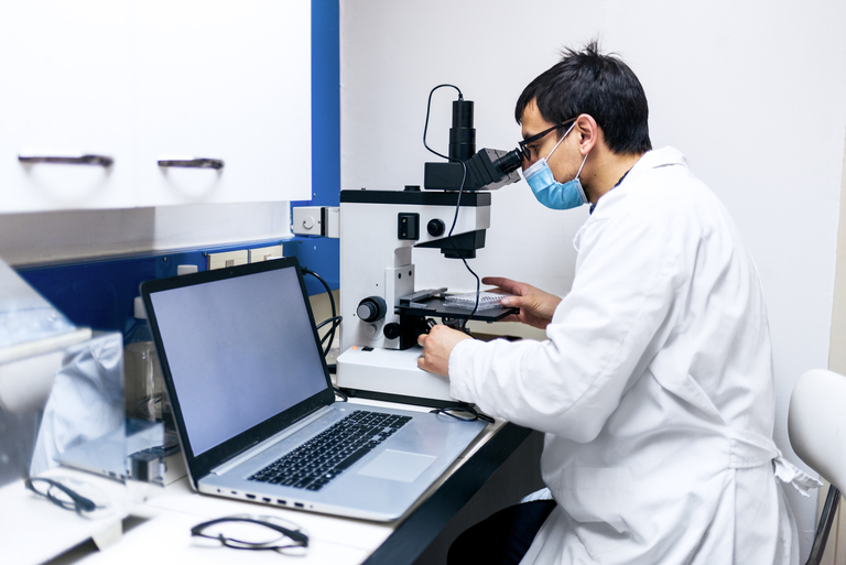 Estudo apresenta nanodefensivo bifásico de liberação controlada para biocontrole eficiente
