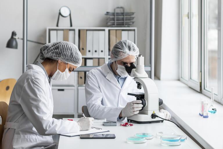Nova parceria foca em biomoléculas inovadoras para controle de pragas na soja