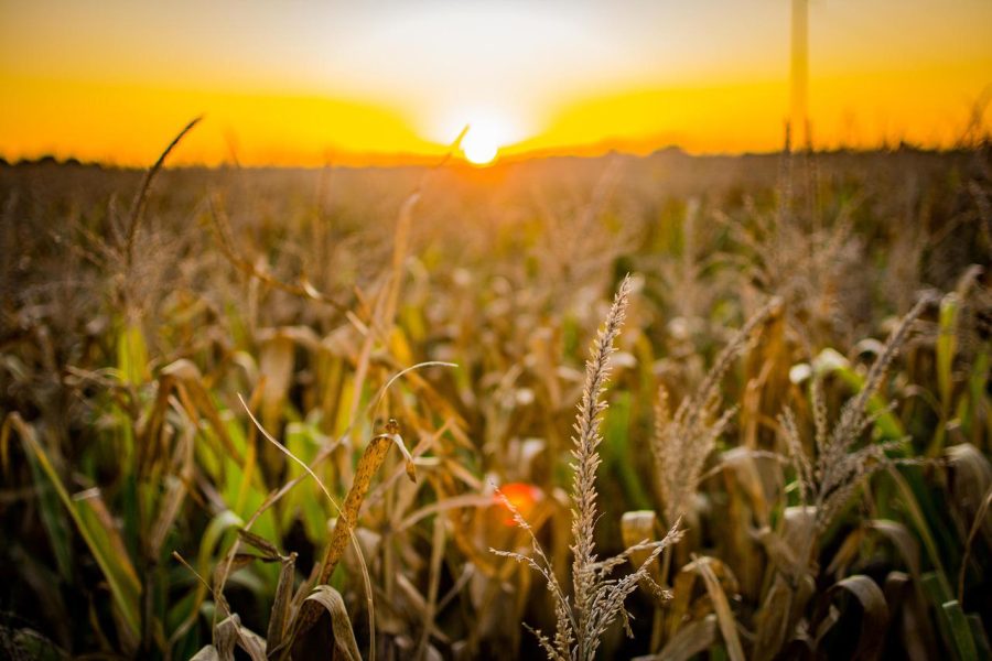 Best Agrolife lança cinco novos produtos em evento internacional