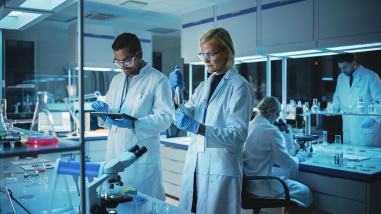 Estudo genômico revela oportunidades para biotecnologia no manejo de pragas no milho