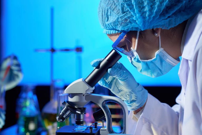 Novos biodefensivos são lançados no mercado brasileiro