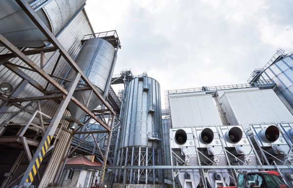 Petrobrás avalia retomada de fábricas de fertilizantes na Bahia