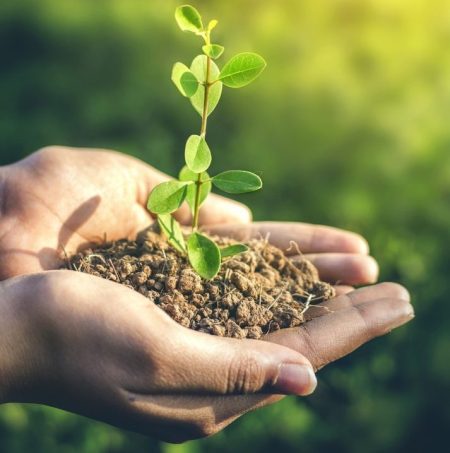Mosaic reaproveita 9 milhões de toneladas e amplia portfólio sustentável