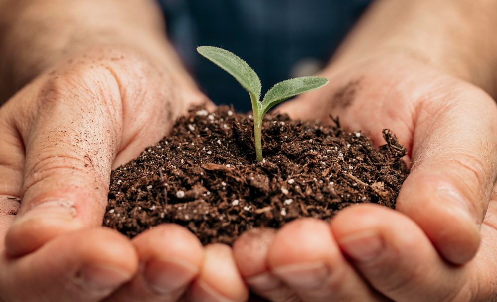 Governo de Goiás atrai investimento japonês para produção de fertilizante ecológico