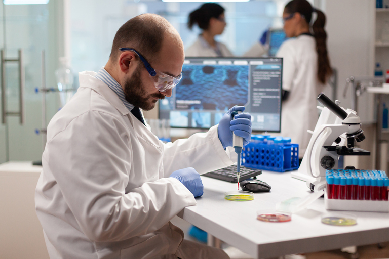Biotecnologia: estrutura do DNA da Agrobacterium tumefaciens pode ajudar no combate de doenças agrícolas