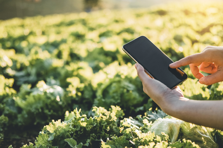 Tecnologia da Embrapa auxilia agricultores na aplicação precisa de defensivos na Bahia