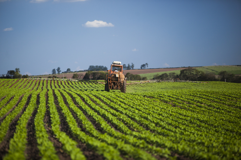 O Brasil precisa garantir que a inovação chegue ao campo com agilidade