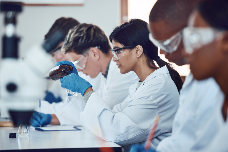 Estudo revela mecanismo inseticida de composto alcaloide em Spodoptera litura