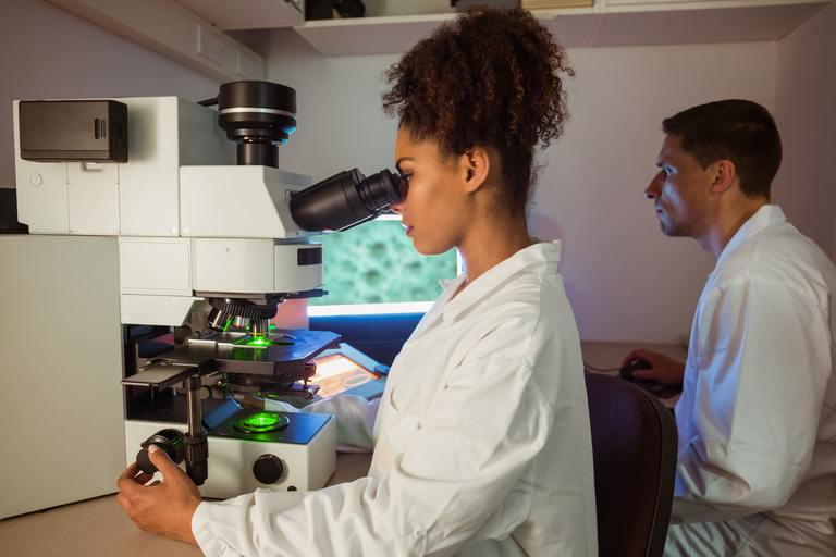 Pesquisadores identificam Bacillus stercoris JK-6 como promissor agente de controle biológico contra fungos agrícolas