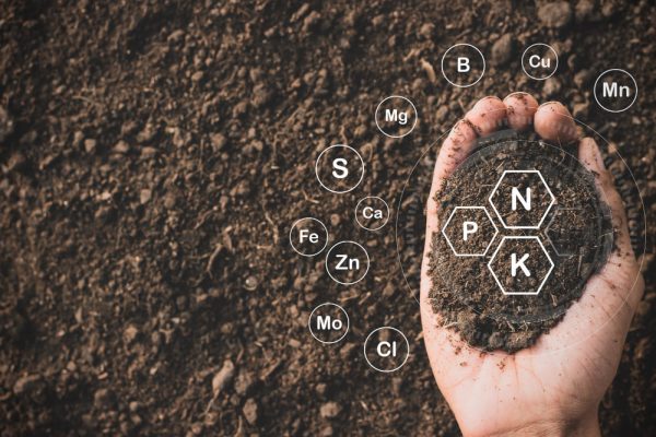 Câmara aprova inclusão dos fertilizantes na política de minerais estratégicos
