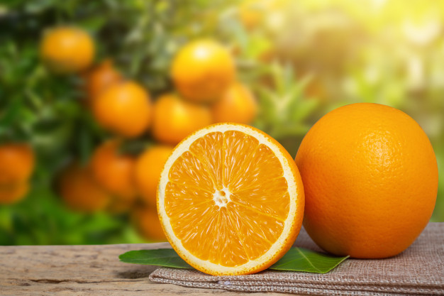 Exportações de suco de laranja caem 20% no ano safra