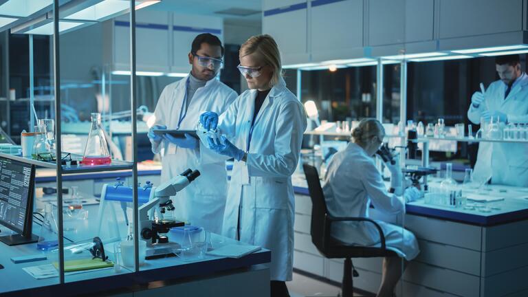 Nanoemulsão de óleo de capim-limão mostra alta eficácia inseticida e ovicida contra percevejos