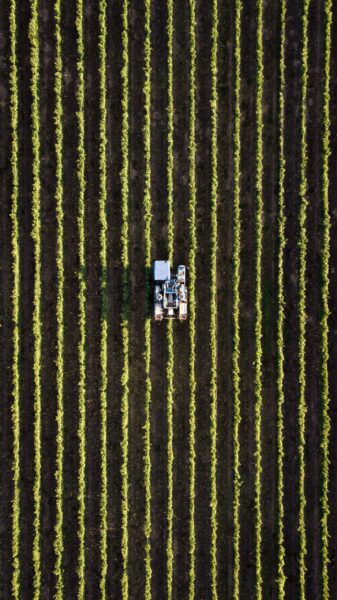 47 novos defensivos agrícolas são registrados no Brasil