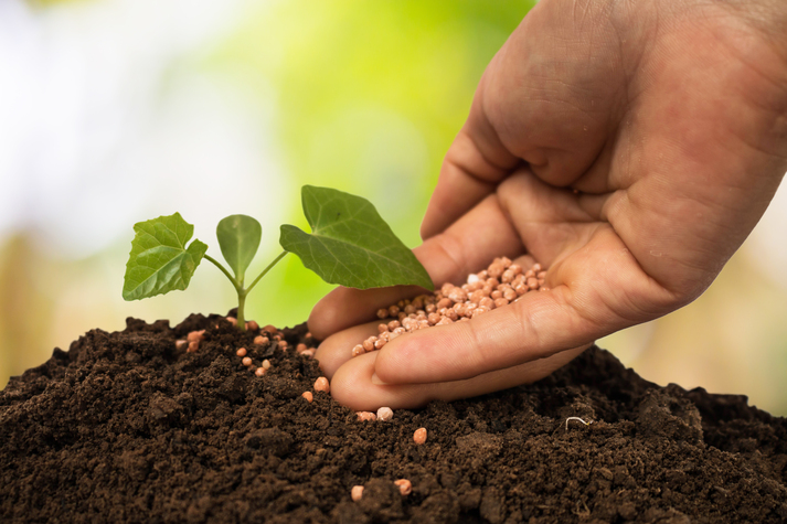 Os fertilizantes de baixo carbono são a nova fronteira da agricultura brasileira