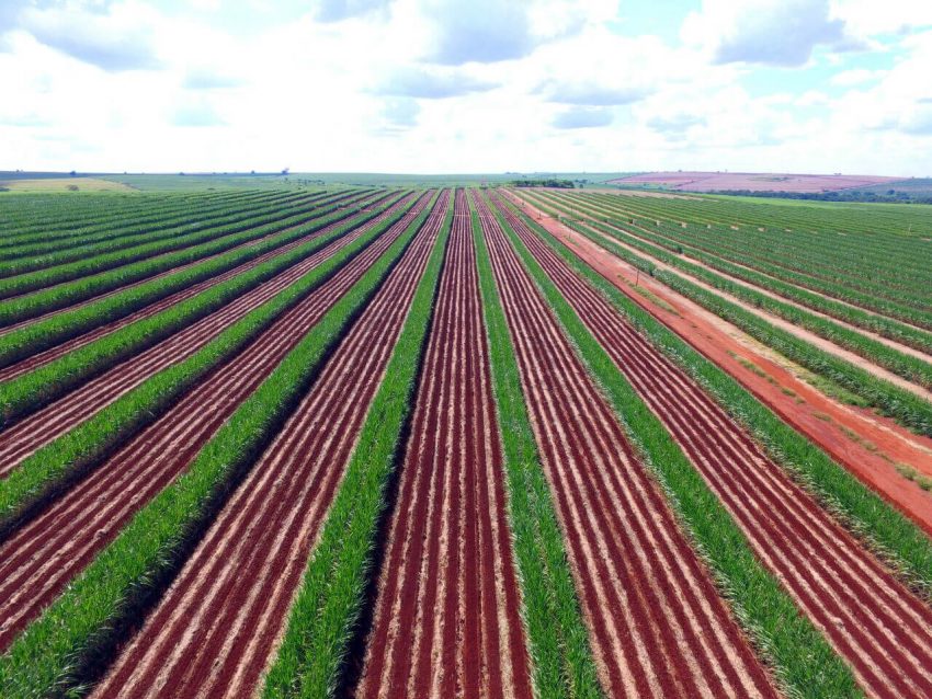 Preços de alguns fertilizantes devem voltar a subir com demanda para safra