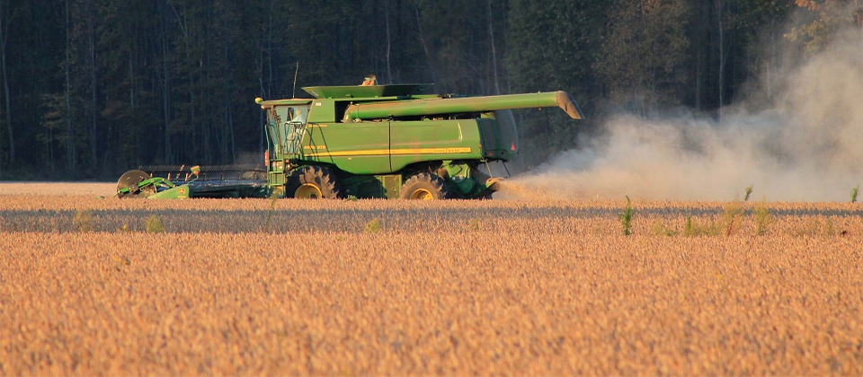 Soja: custo de produção está 10% maior do que na safra passada, aponta CNA