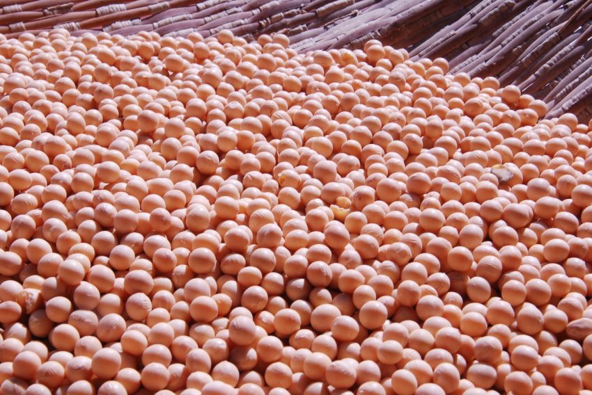 Fertilizantes: relação de troca entre grãos favorece compra de insumos, diz Yara