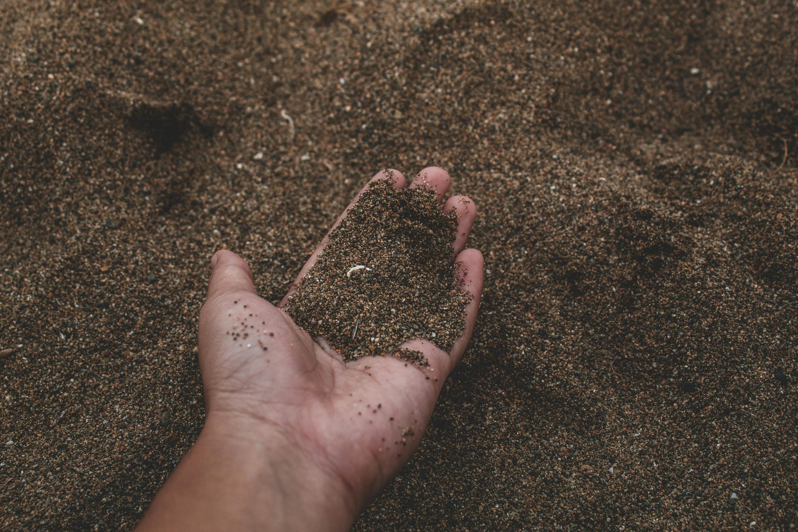 Subsolo de Alagoas revela potencial para fertilizantes e minerais estratégicos