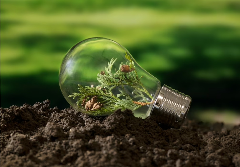 Cientistas japoneses desenvolvem novo método para produzir amônia usando luz solar, ar e água