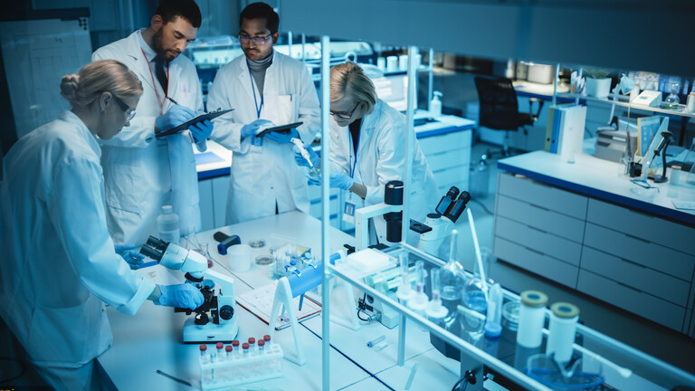 Nova estratégia pode tornar nanoherbicidas mais eficazes contra plantas daninhas
