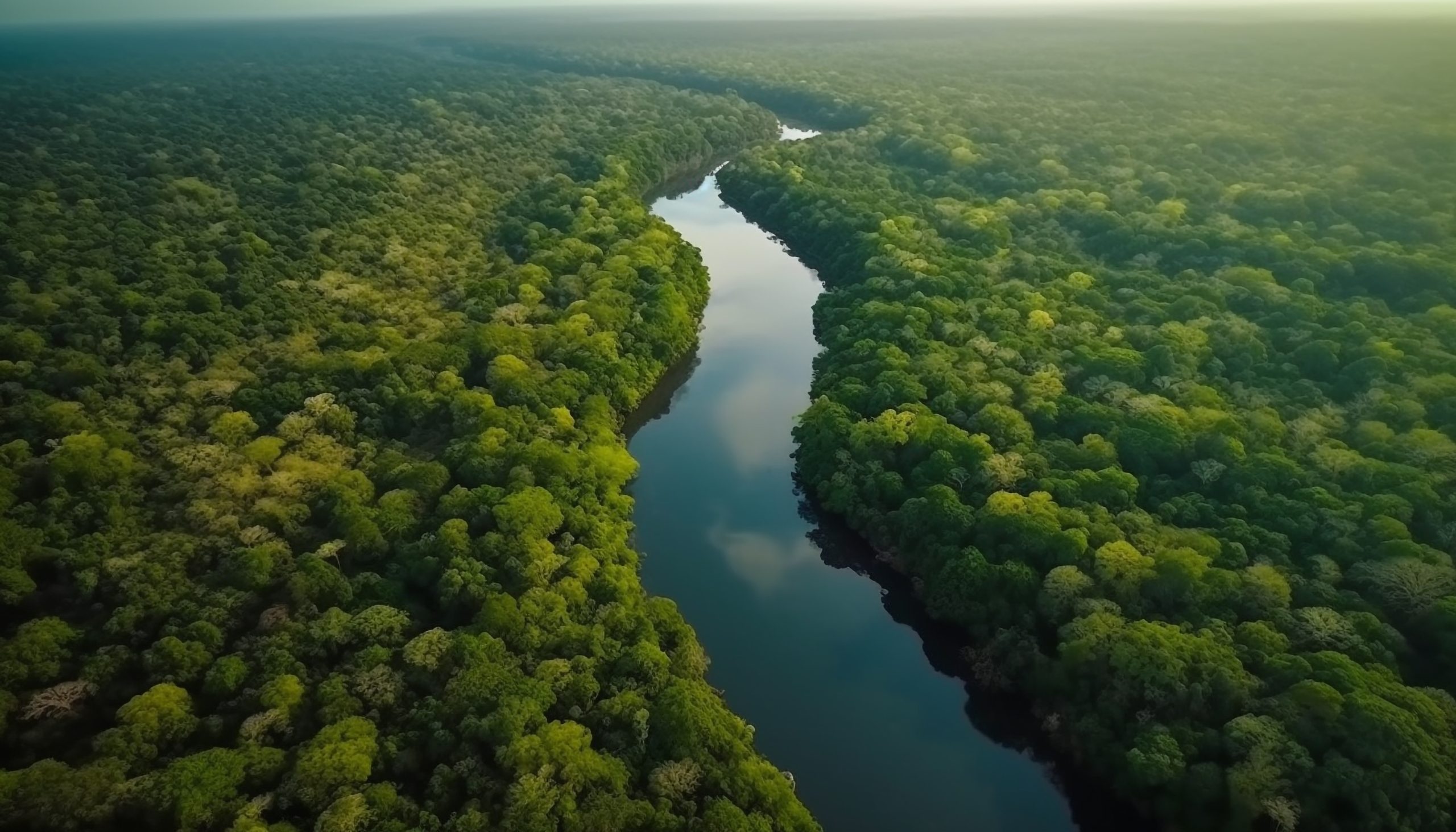 Cúpula da Amazônia deve ter divisões sobre petróleo e desmatamento