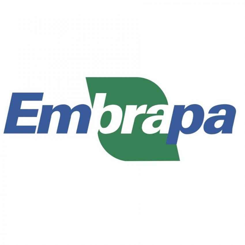 Embrapa desenvolve aplicativo que organiza balanço nutricional da plantação de soja