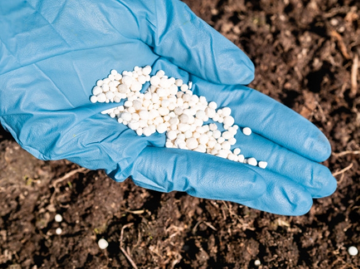Governo confirma retomada de fábrica de fertilizantes em MS com apoio do Novo PAC