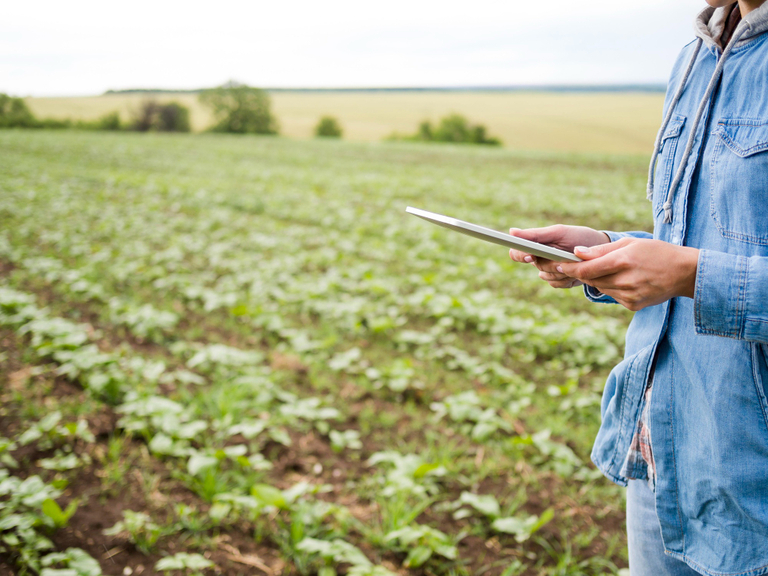 Nova rede de monitoramento de patógenos agrícolas expande-se para cobrir todo Illinois e Iowa nos EUA
