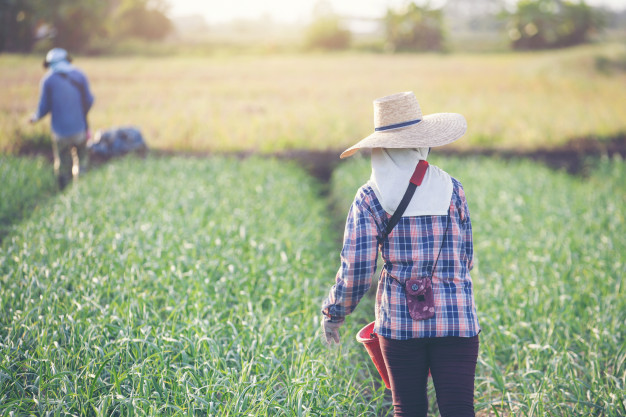 Kiwa Bio-Tech aumenta a solubilidade de fertilizantes
